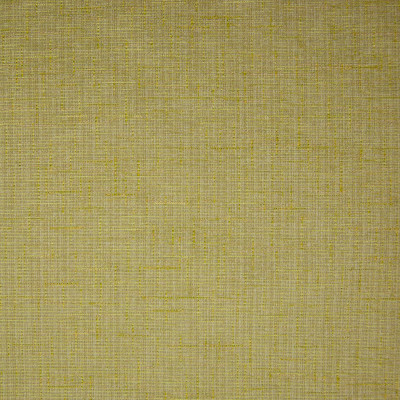 B9869-Citrus
