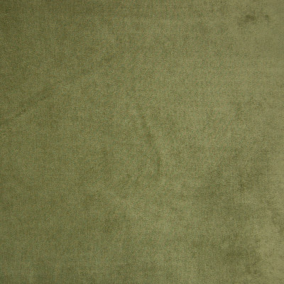 B9880-Celery