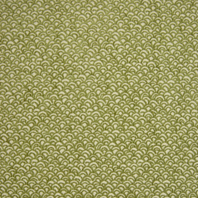 B9881-Avocado
