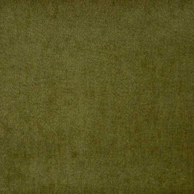 B9883-Grass