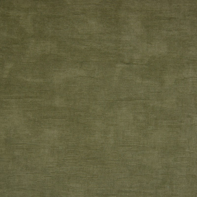 B9888-Olive