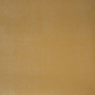B9894-Butter