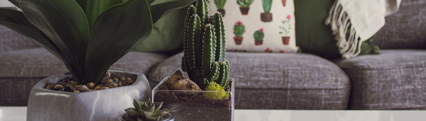 living well in small places jpg Tips for Living Well in Your Studio or Loft