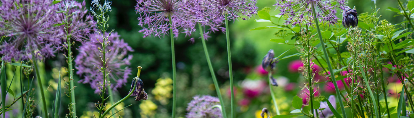 gardening