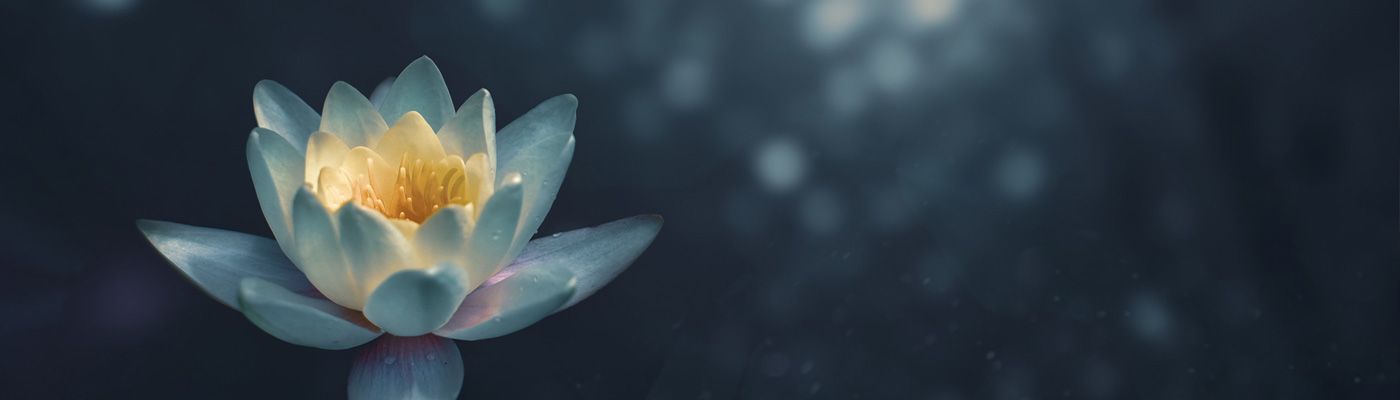 minimalist living for the win header
